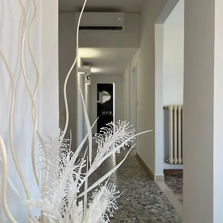 New San Benedetto del Tronto