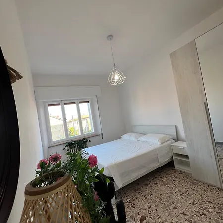 New Apartman *