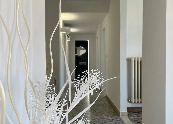 New San Benedetto del Tronto